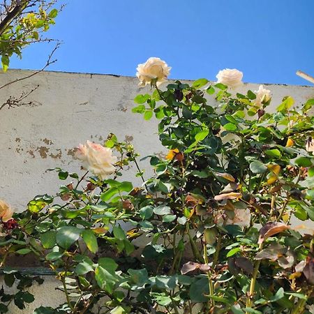 Duplex Bien Equipe Securise Avec Jardin Et Veranda المرسى المظهر الخارجي الصورة