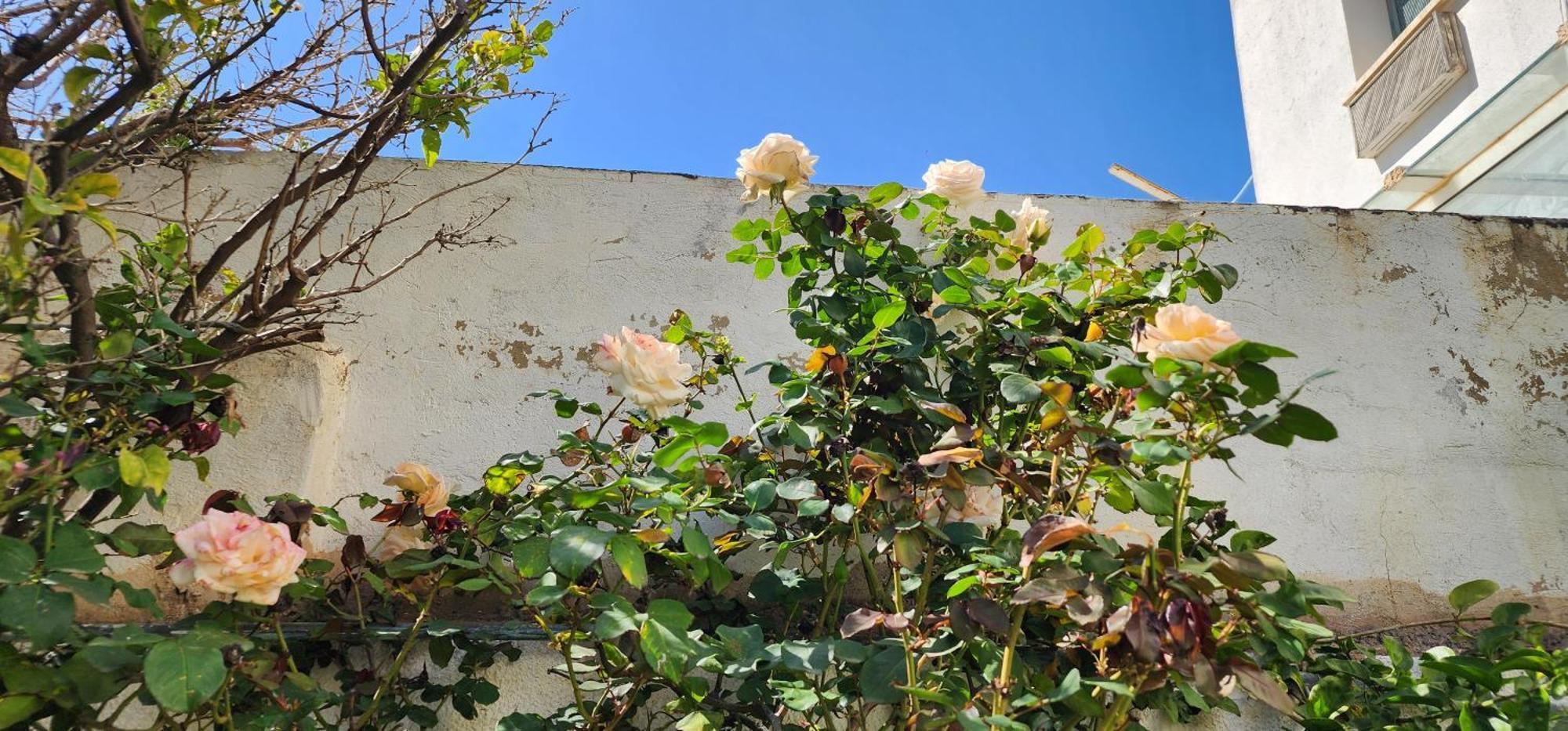 Duplex Bien Equipe Securise Avec Jardin Et Veranda المرسى المظهر الخارجي الصورة