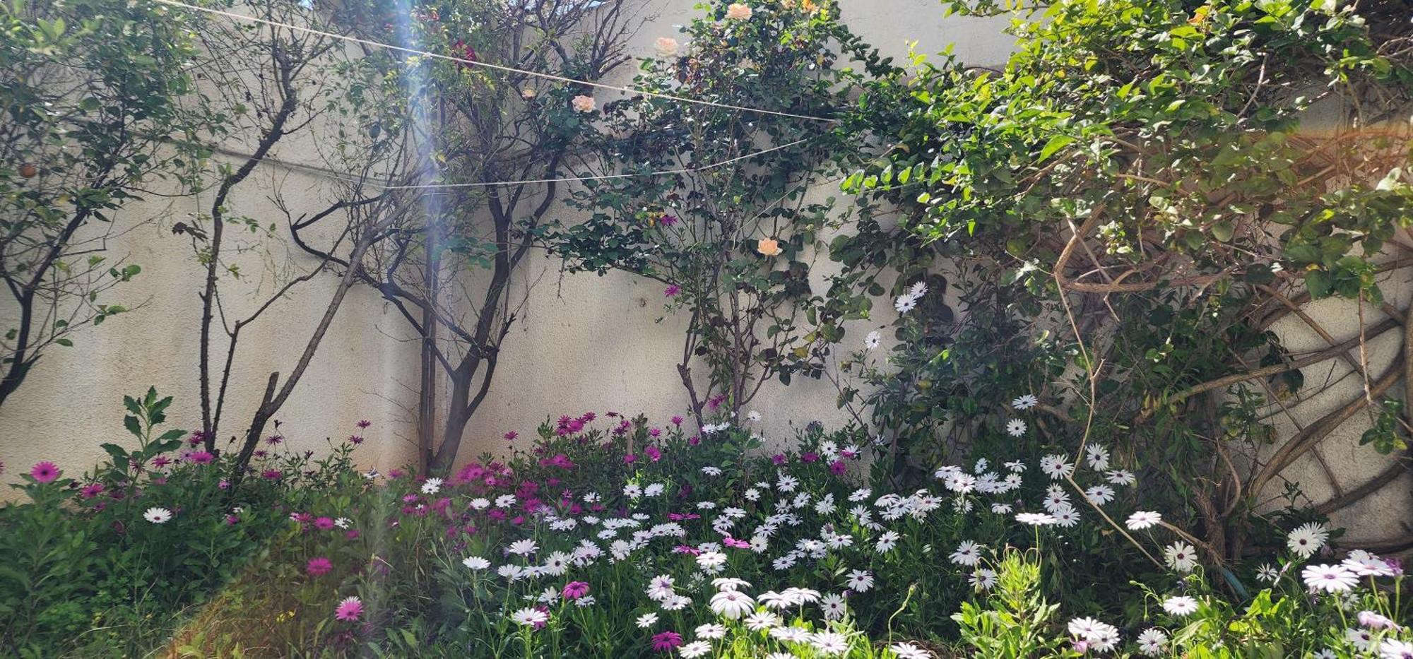 Duplex Bien Equipe Securise Avec Jardin Et Veranda المرسى المظهر الخارجي الصورة