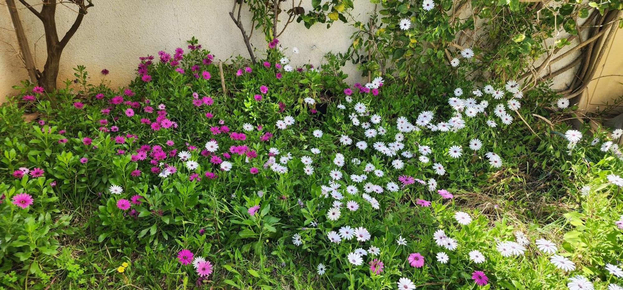 Duplex Bien Equipe Securise Avec Jardin Et Veranda المرسى المظهر الخارجي الصورة