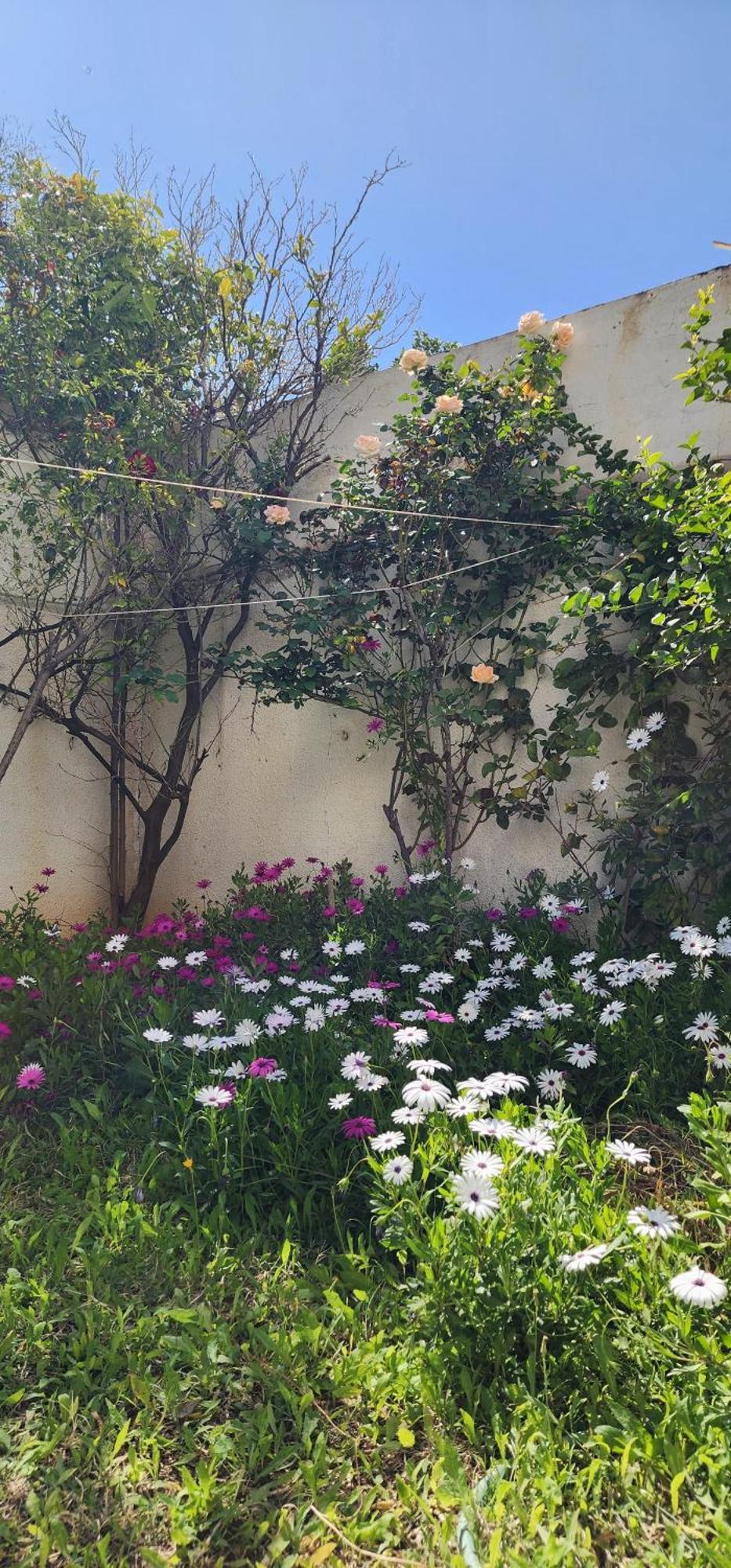 Duplex Bien Equipe Securise Avec Jardin Et Veranda المرسى المظهر الخارجي الصورة